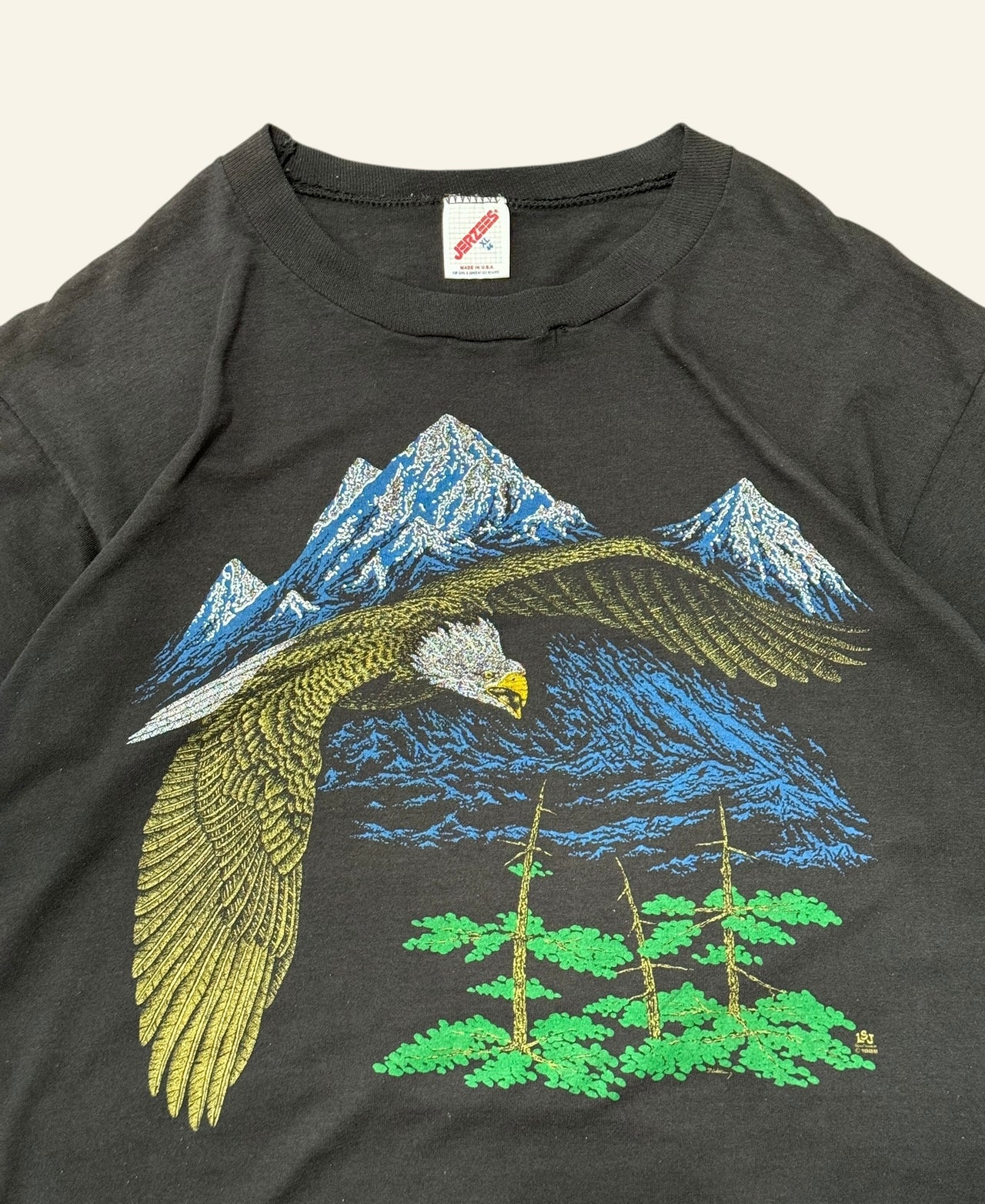 90s Eagle Mountain Tee